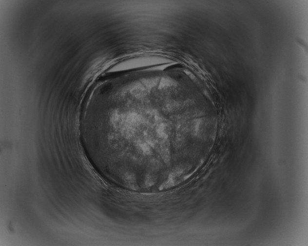 X0000096940002200802291044