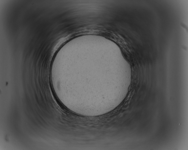 X0000096940003200802291044