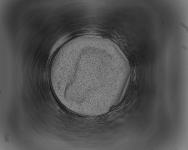 X0000096940004200802291044