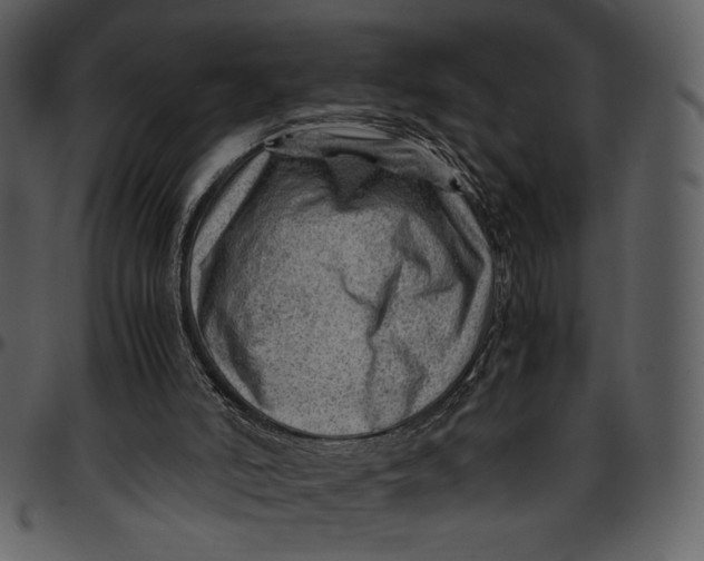 X0000096940006200802291044