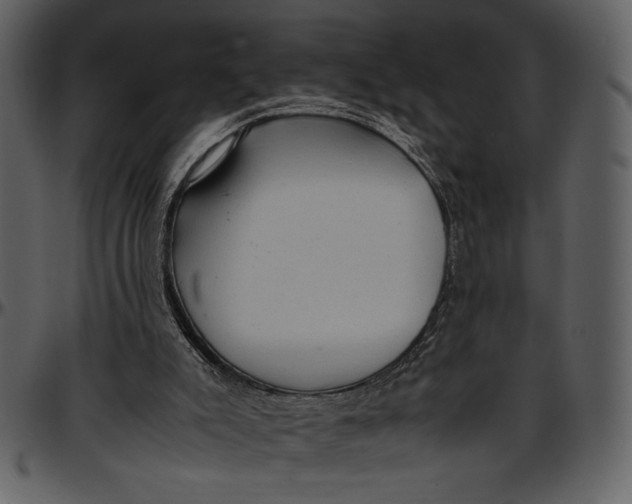 X0000096940007200802291044