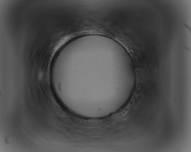 X0000096940008200802291044