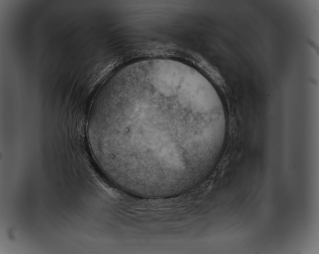 X0000096940009200802291044