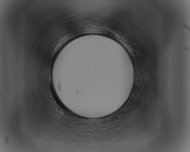 X0000096940011200802291043