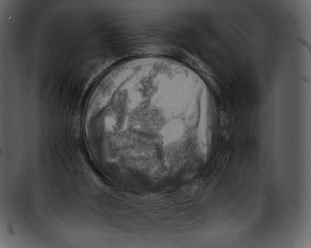 X0000096940012200802291043