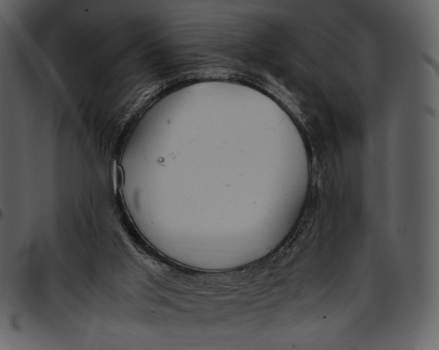 X0000096940013200802291043