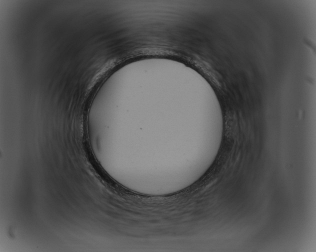 X0000096940015200802291043