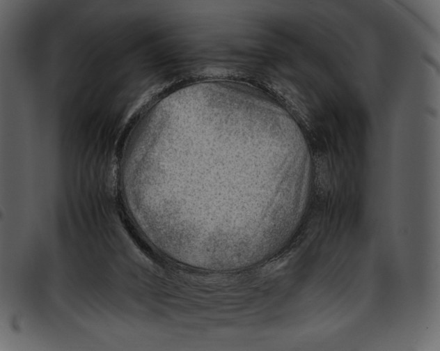 X0000096940016200802291043