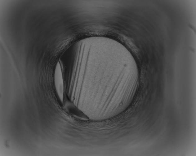 X0000096940017200802291043