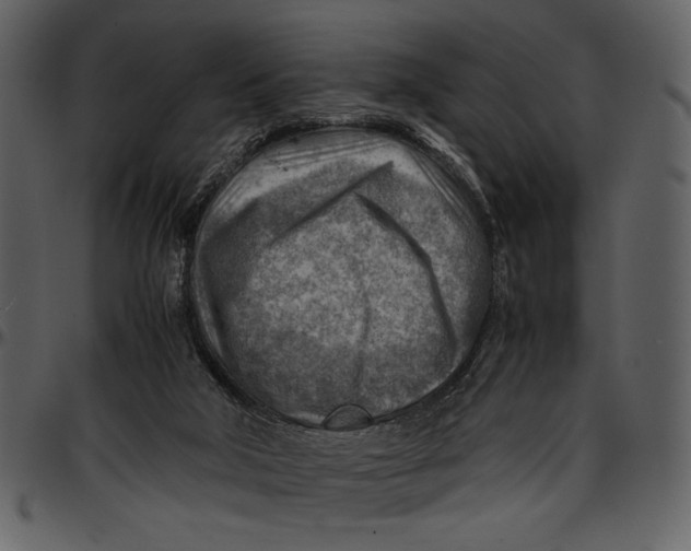 X0000096940018200802291043