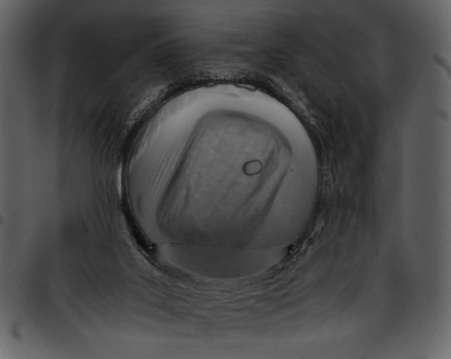 X0000096940019200802291043