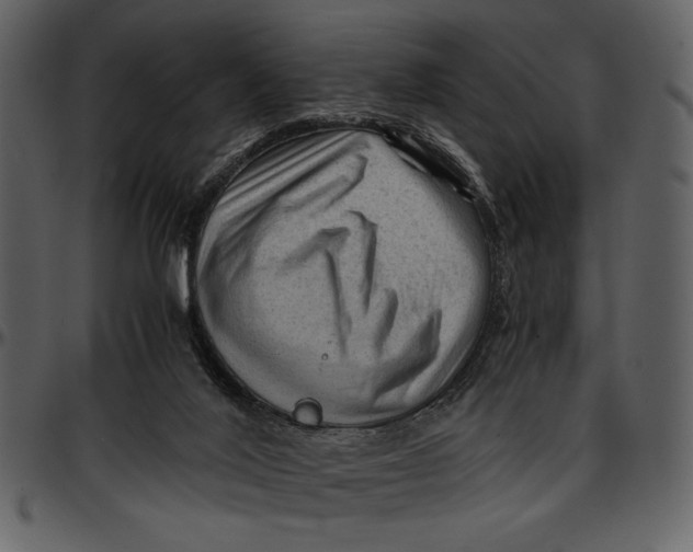 X0000096940020200802291043