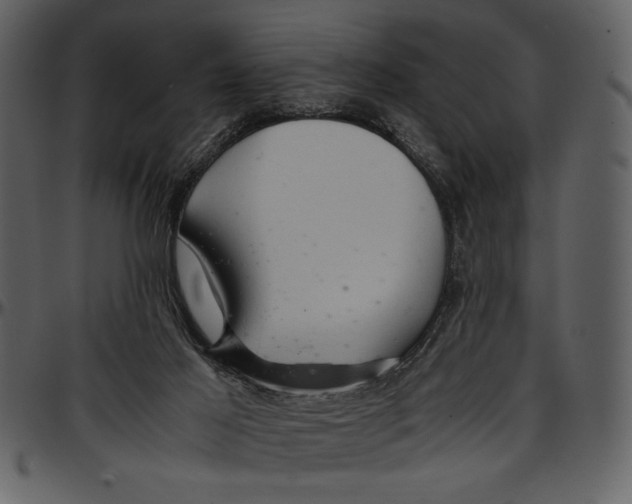 X0000096940021200802291043