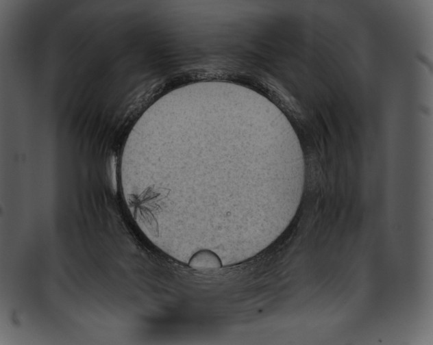 X0000096940022200802291043