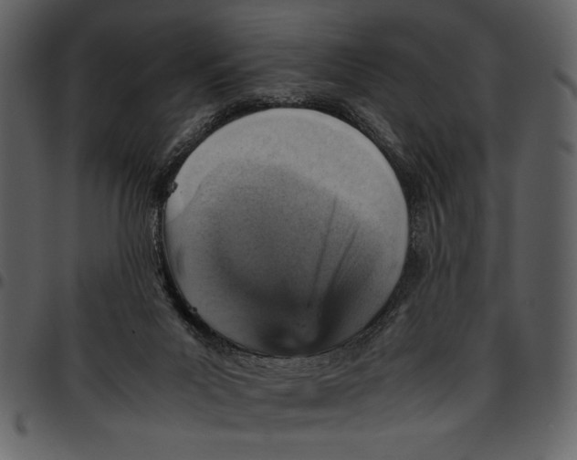 X0000096940023200802291043