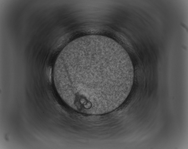 X0000096940024200802291043