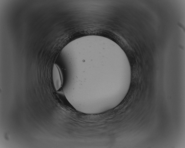 X0000096940025200802291043