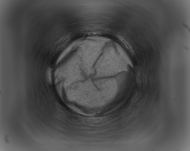 X0000096940026200802291043