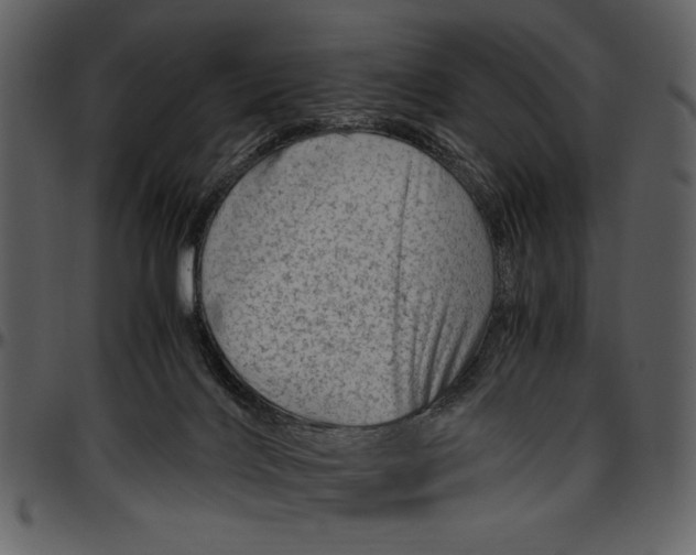 X0000096940028200802291043