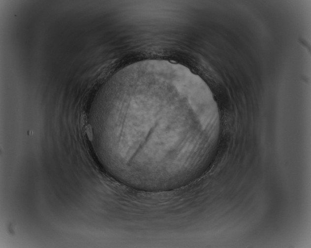 X0000096940029200802291043