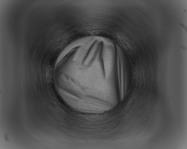 X0000096940030200802291043