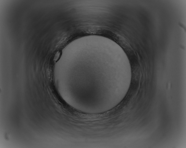 X0000096940031200802291043