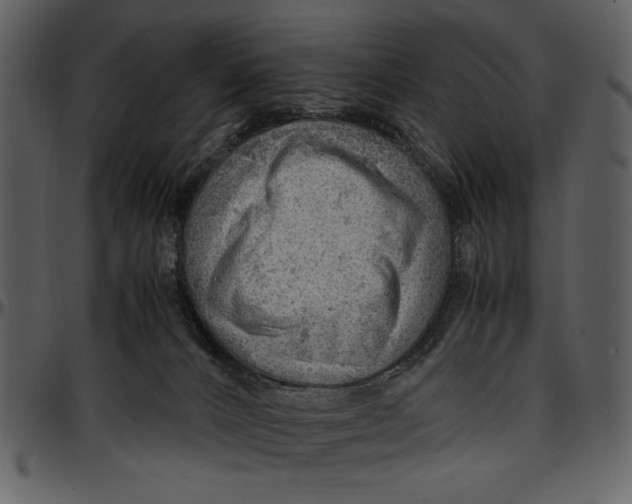 X0000096940032200802291043