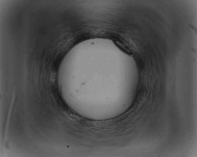 X0000096940033200802291043