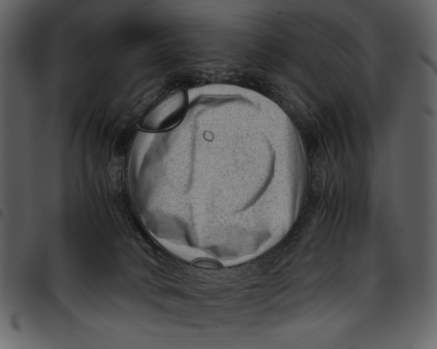 X0000096940034200802291043