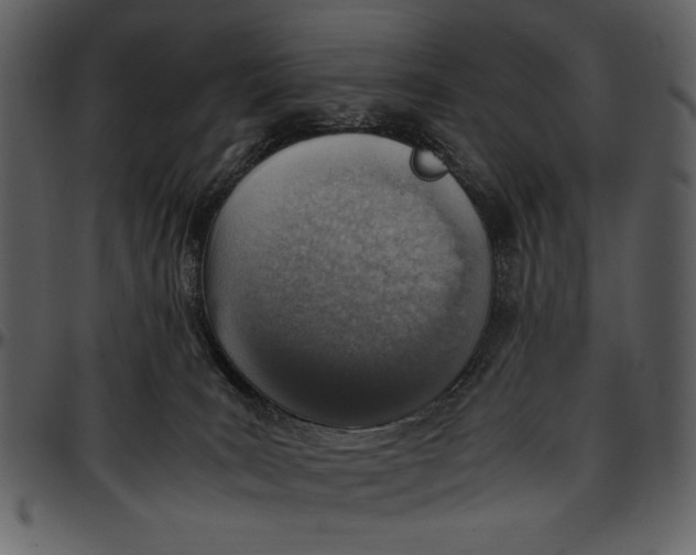 X0000096940035200802291043