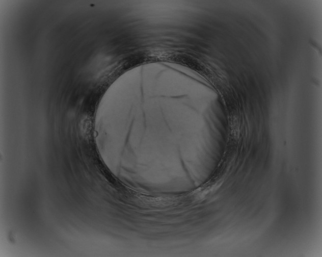 X0000096940036200802291043