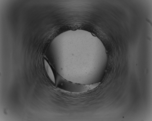 X0000096940037200802291043