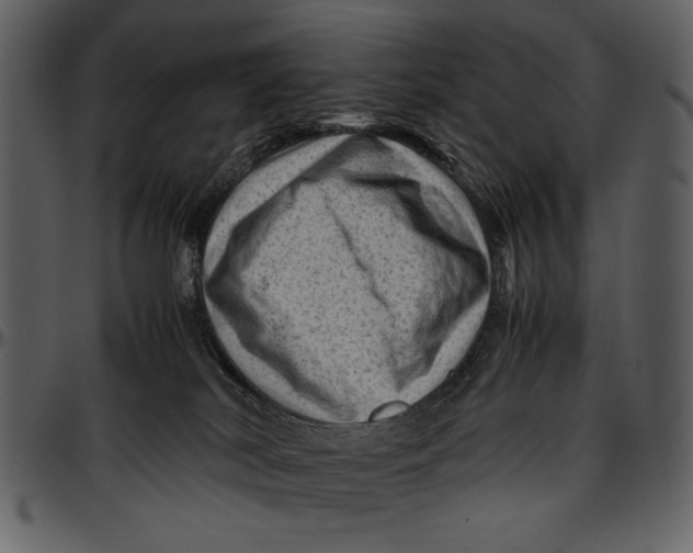 X0000096940038200802291043