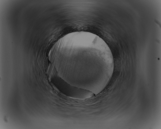 X0000096940039200802291043