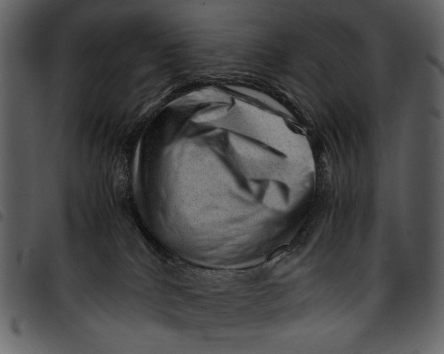 X0000096940040200802291043