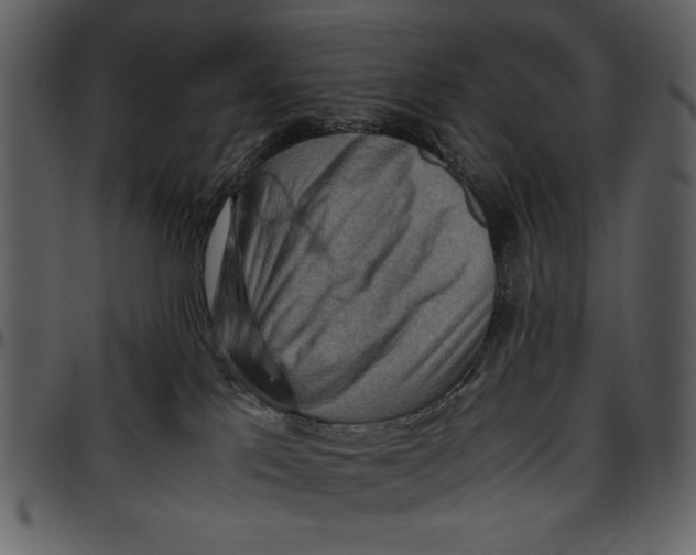 X0000096940041200802291043