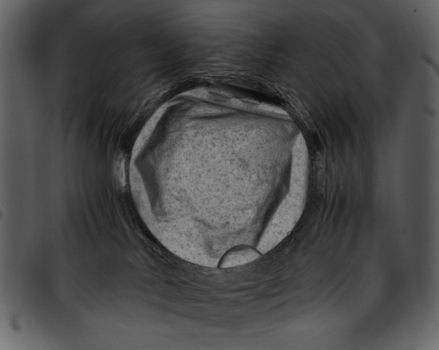 X0000096940042200802291043