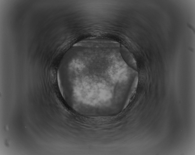 X0000096940043200802291043