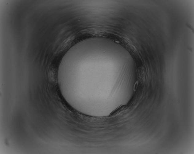 X0000096940044200802291043