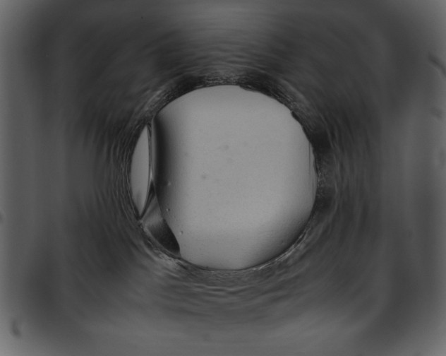 X0000096940045200802291043