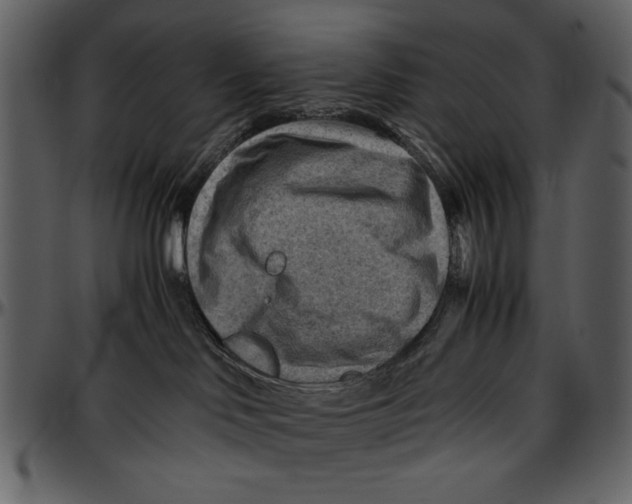 X0000096940046200802291043