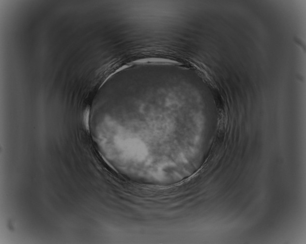 X0000096940047200802291043