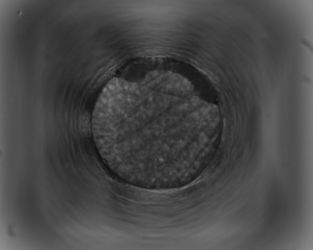 X0000096940048200802291043