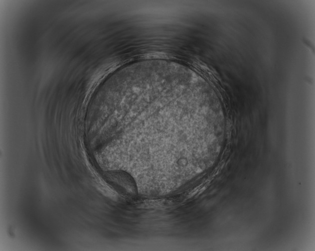 X0000096940049200802291042