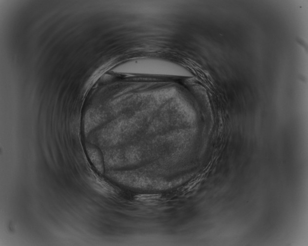 X0000096940051200802291042