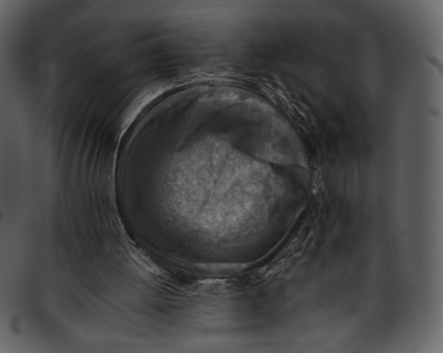 X0000096940052200802291042