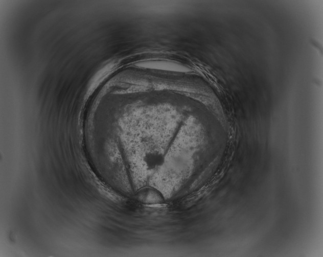 X0000096940053200802291042