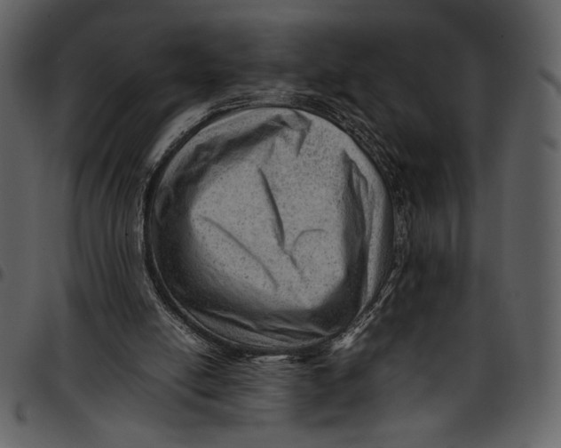 X0000096940054200802291042