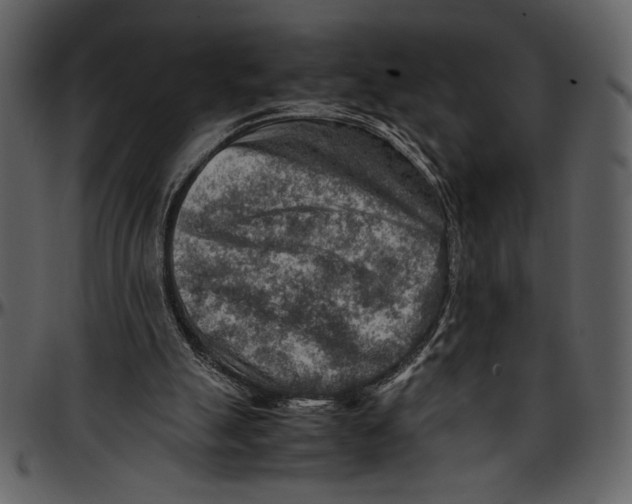 X0000096940055200802291042