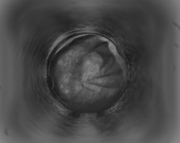 X0000096940056200802291042